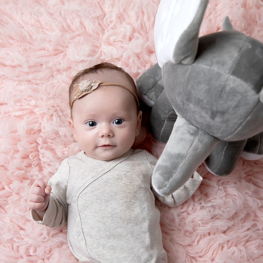 Grå elefant med navn – Babar - Image 3