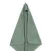 Ash Green